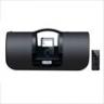 citi iluv portable fmam